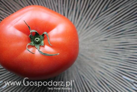 Finał koncertów „Lata z Radiem”