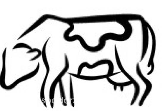 Centrum Usług Rolniczych Farm Service