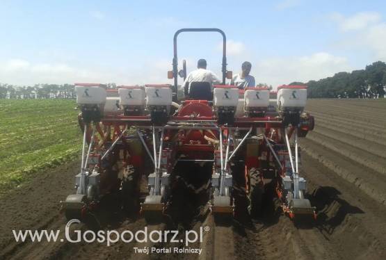 Siewnik do warzyw SNT 3-290 4TR