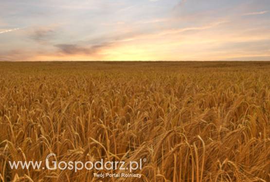 Spotkanie z Zarządem KZRKIOR