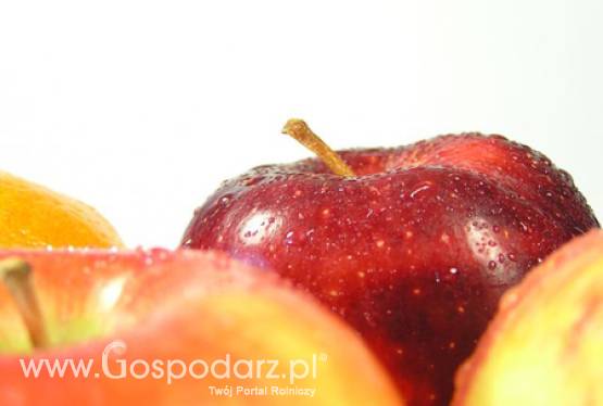 Program ochrony jabłoni dla produkujących owoce na rynek Federacji Rosyjskiej