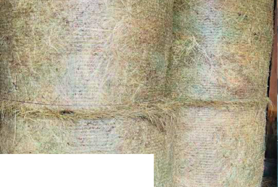 Sprzedam siano w belach