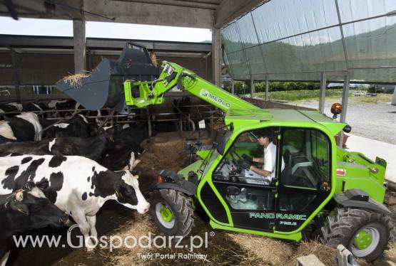Ładowarka teleskopowa Merlo - model kompaktowy