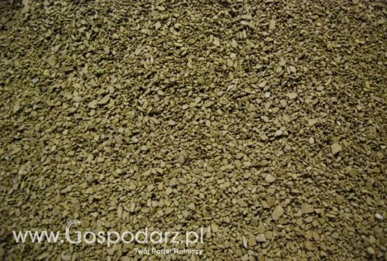 makuch rzepakowy sprzedam