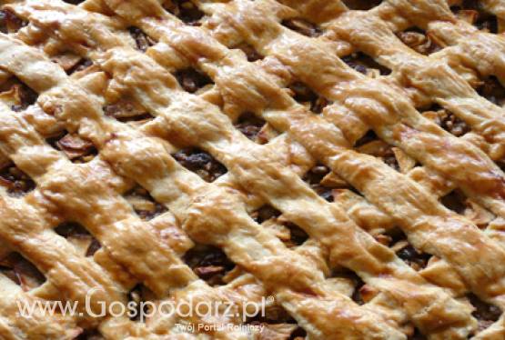 Rejestracja kołocza śląskiego jako Chronionego Oznaczenia Geograficznego