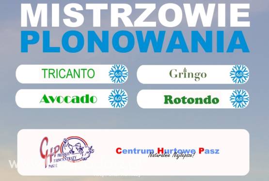 Kwalifikowany materiał siewny zbóż ozimych