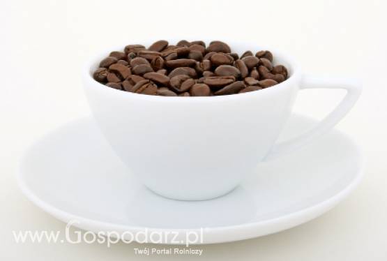 Pierwsze polskie zawody w zaparzaniu kawy niemechanicznymi sposobami