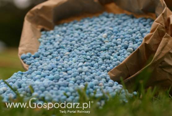 Analiza rynku nawozów mineralnych oraz cen nawozów w III kwartale 2011r.