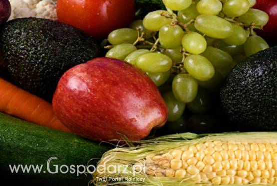 Polska na Międzynarodowych Targach Fruit Logistica w Berlinie