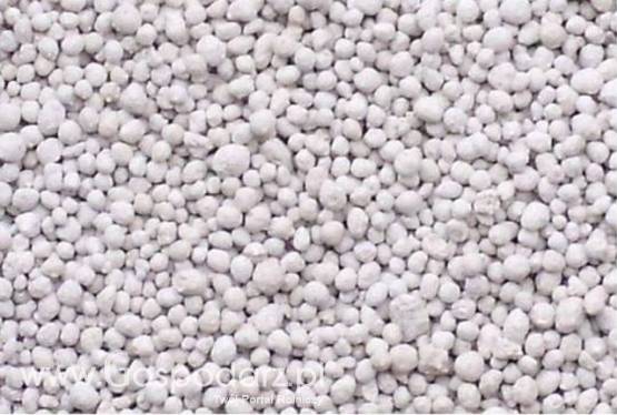 Kreda Nawozowa Granulowana min 53% CaO