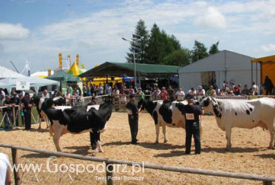 Superczempionaty, czempionaty i wiceczempionaty XIII Regionalnej Kujawsko-Pomorskiej Wystawy Zwierząt Hodowlanych