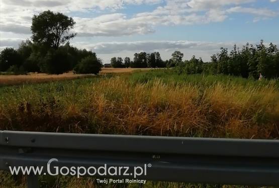 Sprzedam działkę rolno budowlaną