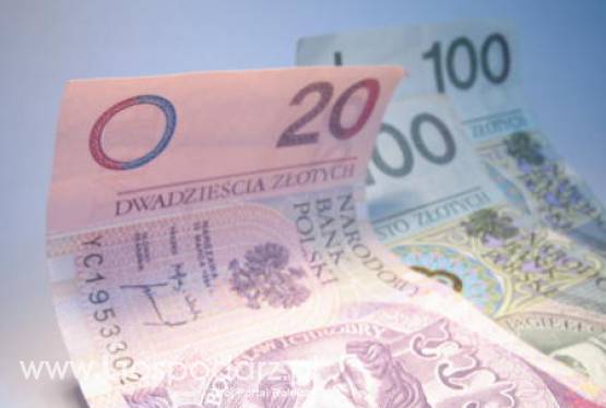 Wdrażanie lokalnych strategii rozwoju - LGD przyjmuje wnioski