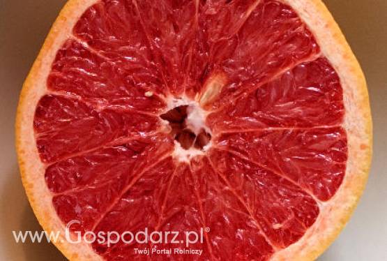 Szacowane zbiory owoców cytrusowych w Basenie Morza Śródziemnego