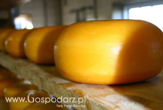 Większa produkcja polskich serów