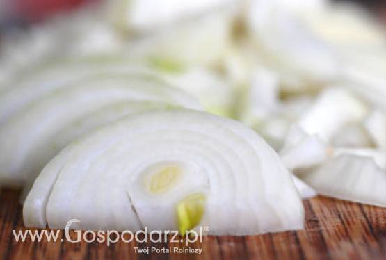 Cebula wyciska łzy plantatorom