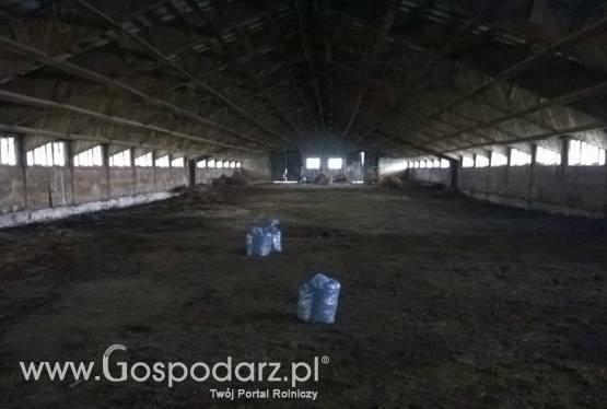 Wynajmę 2 budynki gospodarcze Płonna