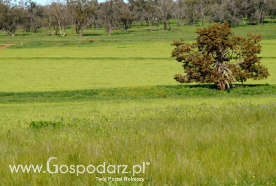 Jeszcze tylko dziś można składać wnioski o przyznanie pomocy na działalność pozarolniczą niezwiązaną z wytwarzaniem biogazu rolniczego