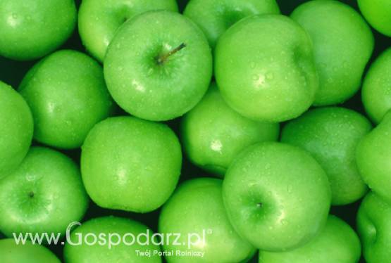 Konferencja promująca Program „Owoce w szkole”