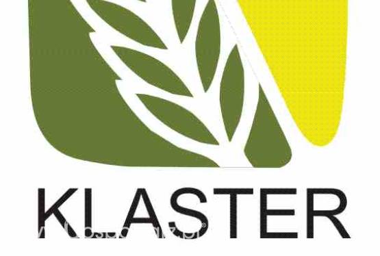 Wywar gorzelniany zbożowy