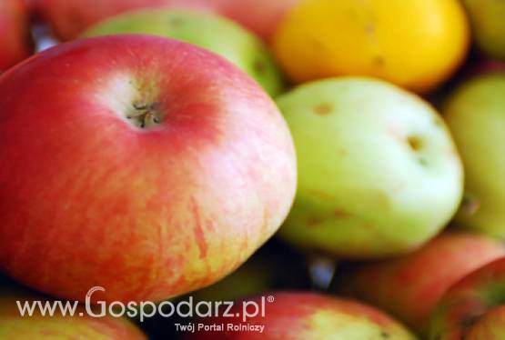 Promocja żywności ekologicznej i przetwórstwa na poziomie gospodarstwa na Targach Agrotravel