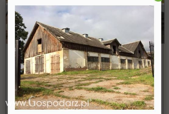 Sprzedam gospodarstwo rolne