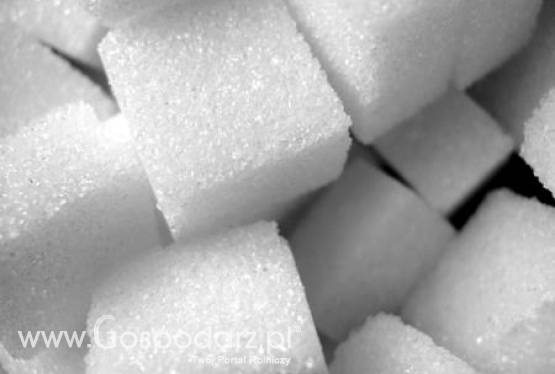 Handlowcy i producenci najwięcej skorzystali na podwyżkach cen cukru