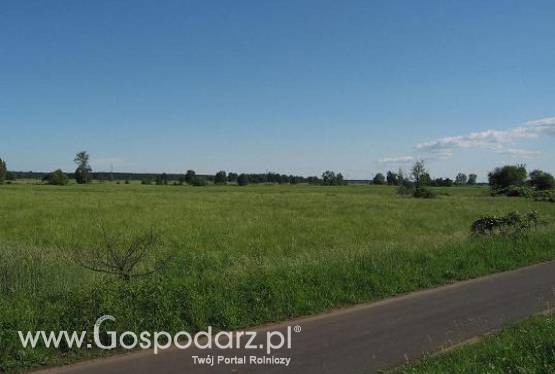 DZIAŁKA ORNA  Z WYSOKIMI DOPŁATAMI UNIJNYMI