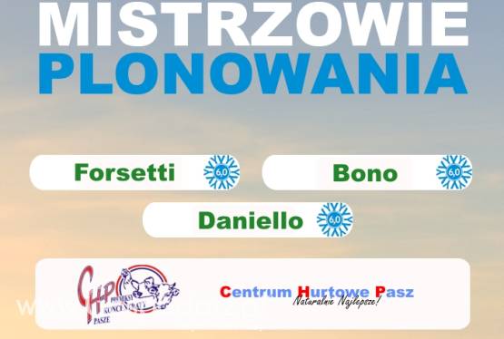 Kwalifikowany materiał siewny zbóż ozimych