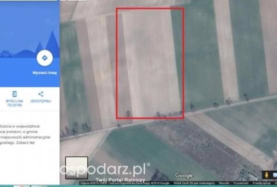 Sprzedam grunty rolne