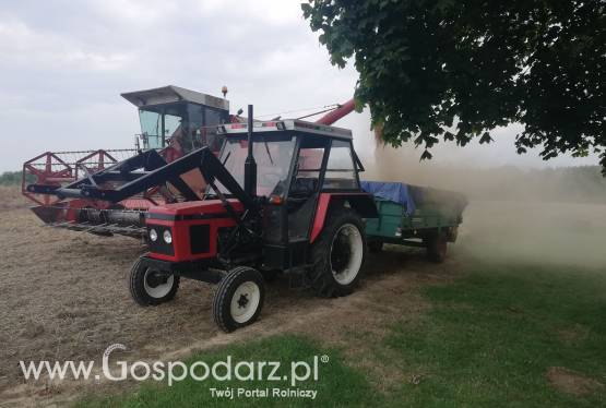 Przyjmę grunt orny pod dzierżawę