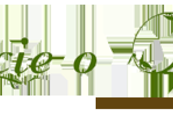 Kiermasz ogrodniczy Pamiętajcie o ogrodach - jesień