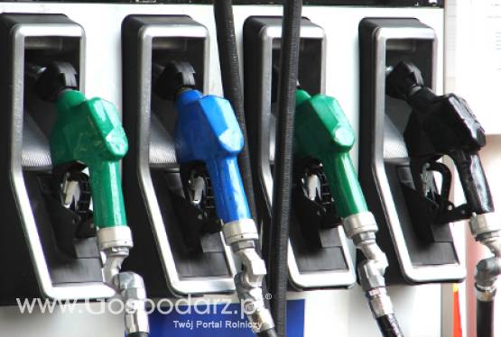 Stabilizacja cen paliw