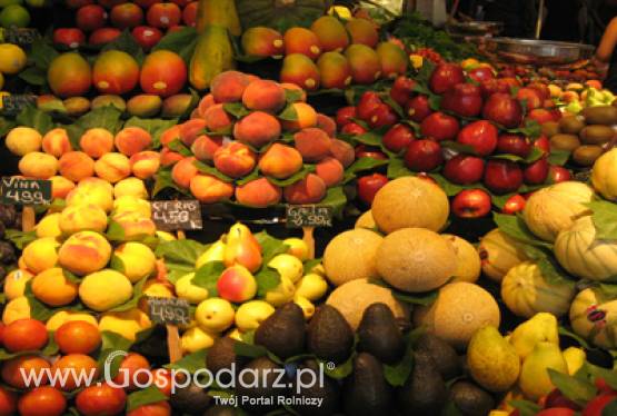 Spotkanie Grupy Wyszehradzkiej