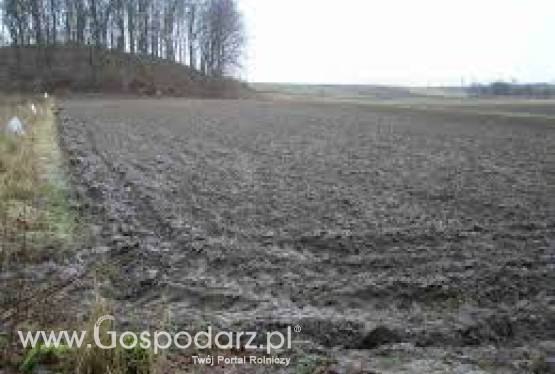 wezmę w dzierżawę grunty rolne kłodzko