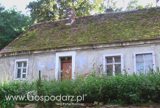 gospodarstwo rolne koło Pyrzyc, zachpom.