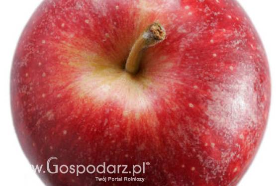 Komunikat Głównego Inspektoratu Ochrony Roślin i Nasiennictwa w sprawie systemu jakości żywności