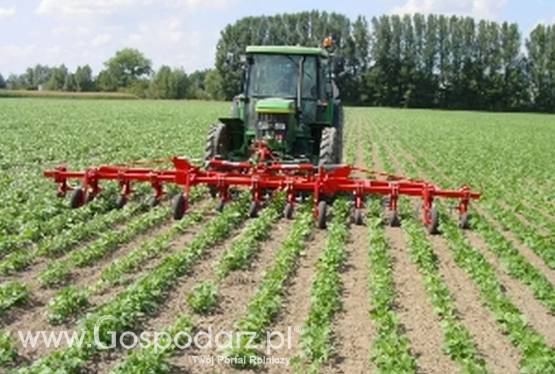 Kultywator międzyrzędowy 12x 70/75 + 18x 45/50 STEKETEE