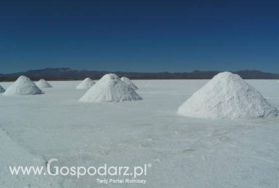 Komunikat nr 2 Głównego Lekarza Weterynarii dot. stosowania przez niektórych przedsiębiorców soli wypadowej