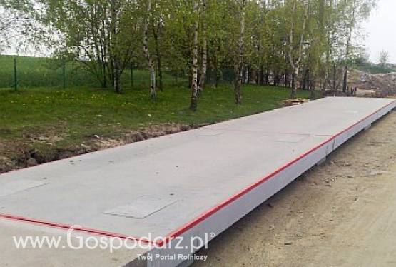 Elektroniczna betonowa waga samochodowa Rooster 60