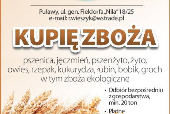 skup zboża: pszenicy, pszenżyta , owsa, jęczmienia, żyta