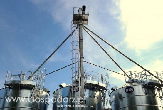 Przenośniki kubełkowe do zboża