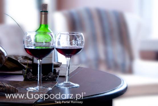 Brazylia – Krajowe wino cieszy się coraz większym zainteresowaniem