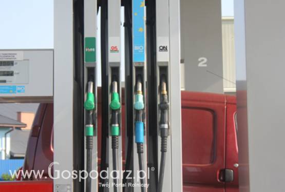 Komitety COPA-COGECA ostrzegają przed niewiarygodnymi danymi zawartymi w nowych analizach UE dotyczących biopaliw