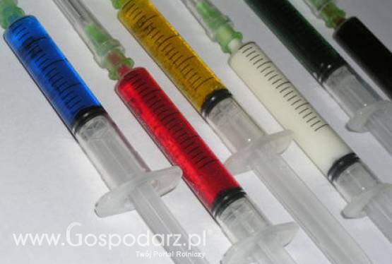 Ukraina – Zaostrzenie wymogów dla polskiego mięsa