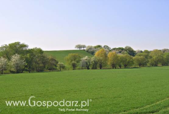 Dobry i ważny rok dla ANR