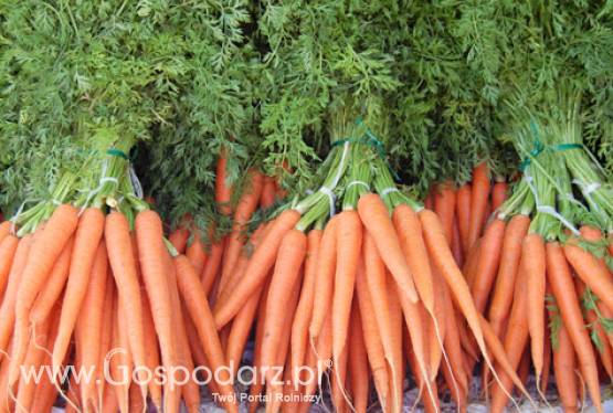 Promujemy coraz więcej i lepiej