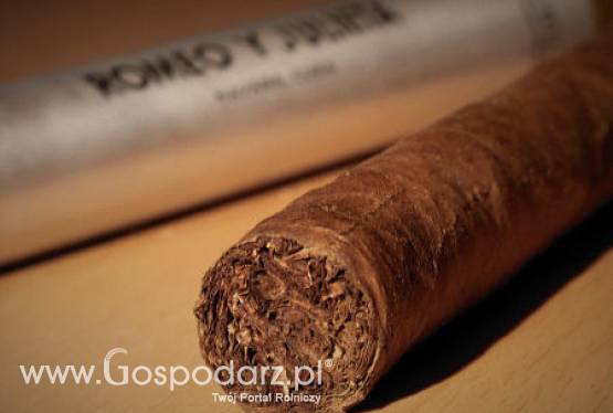 Sklepy z alkoholem i papierosami coraz częściej upadają - powodem jest spory spadek sprzedaży