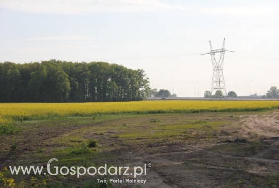 Rządowa pomoc dla rolników