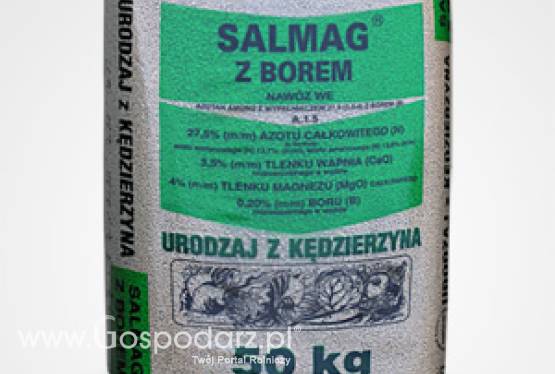 Salmag z Borem